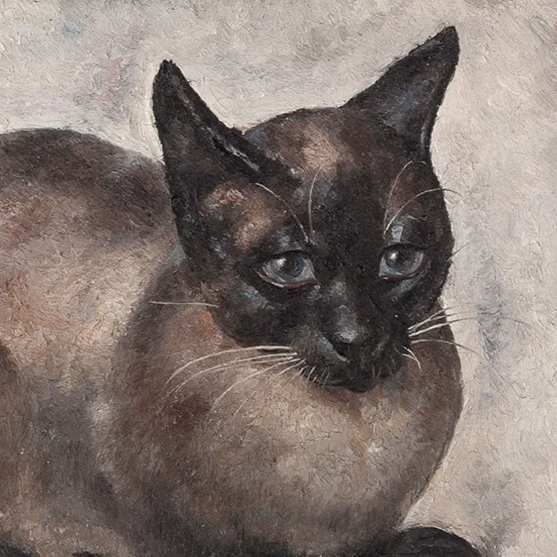 Toshio Bando, dessin