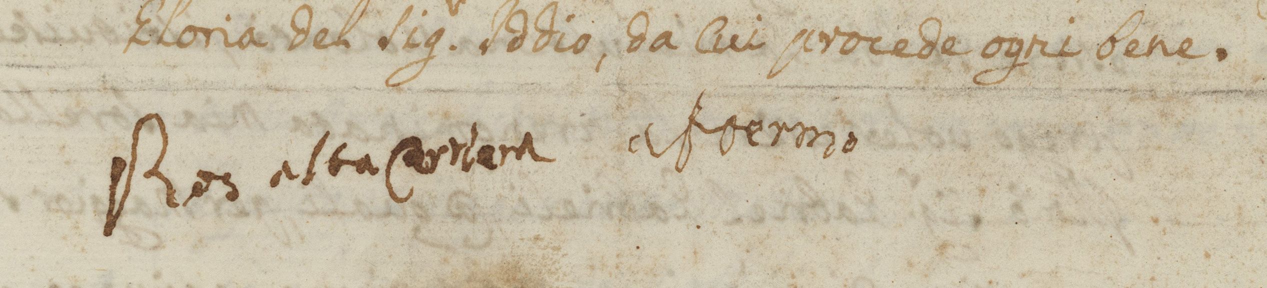 Signature de Rosalba Carriera