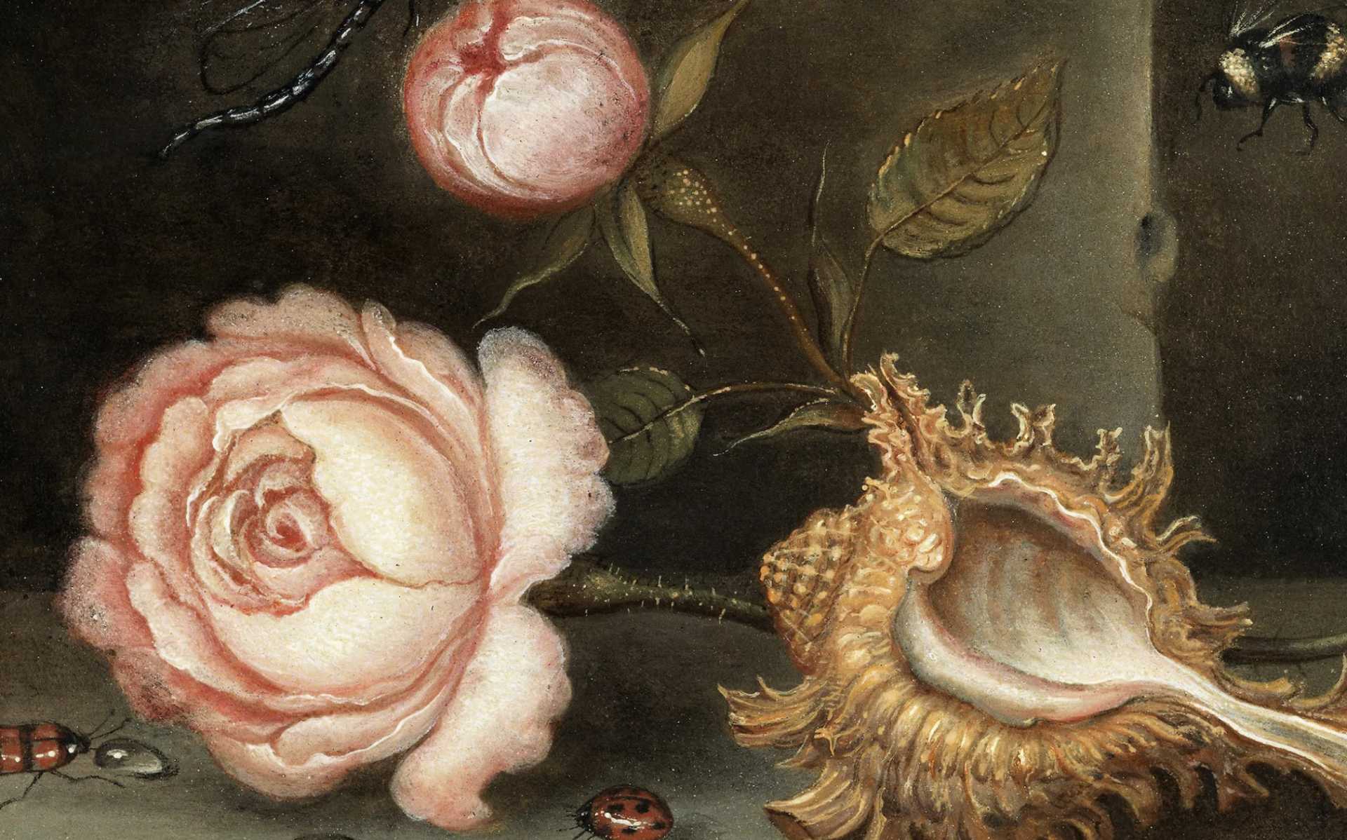 Balthasar van der Ast, huile sur toile