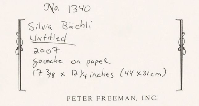 Signature de Silvia Bächli