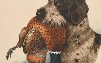 Boris Riabouchinsky, drawing
