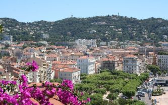 Estimation Cannes