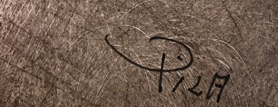 Signature de Arthur Luiz Piza