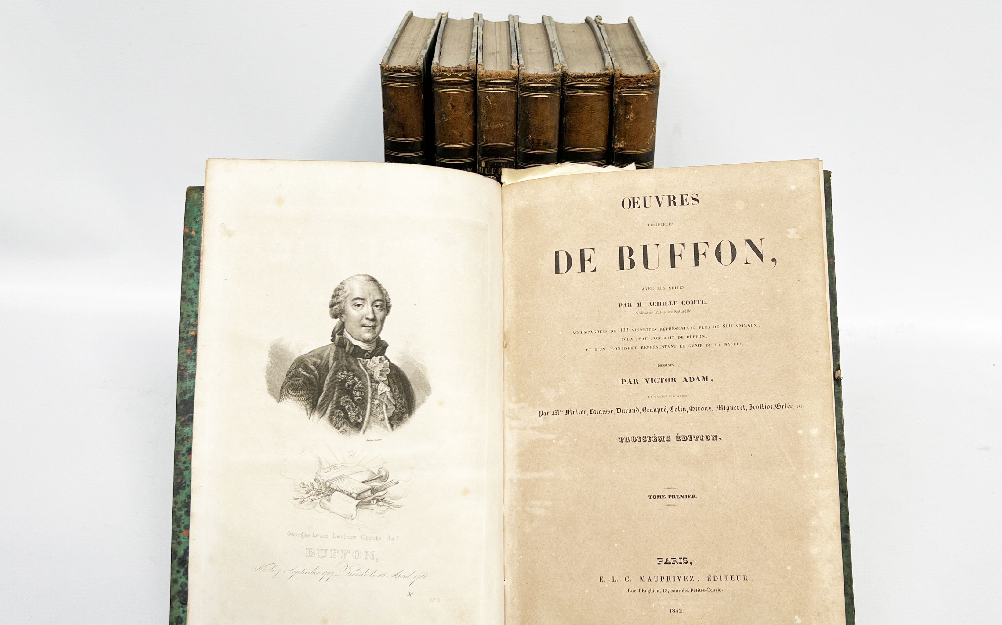 De Buffon, old book