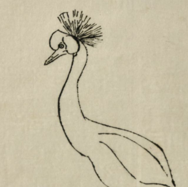 Anne Marie Profillet, dessin