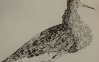 Joseph Hecht, print