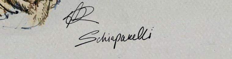 Schiaparelli's signature