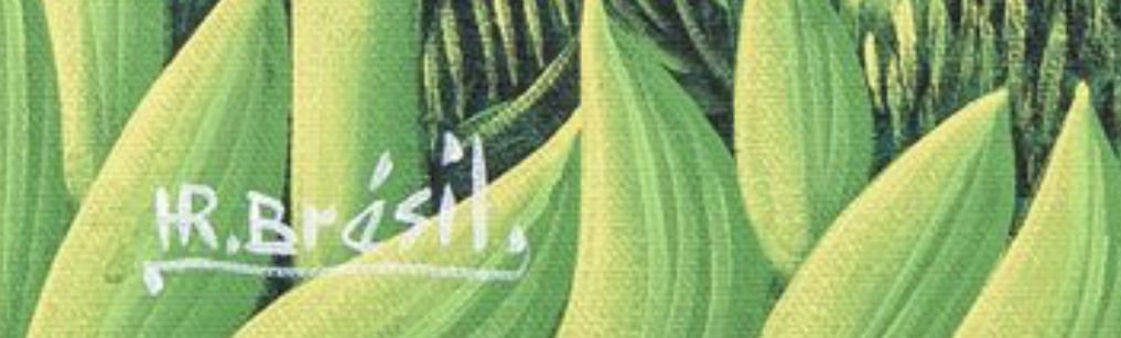 Signature de Henri Robert Brésil