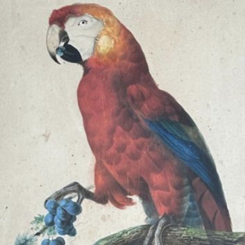 Auguste PELLETIER (active between 1806 and 1847), gouache on paper
