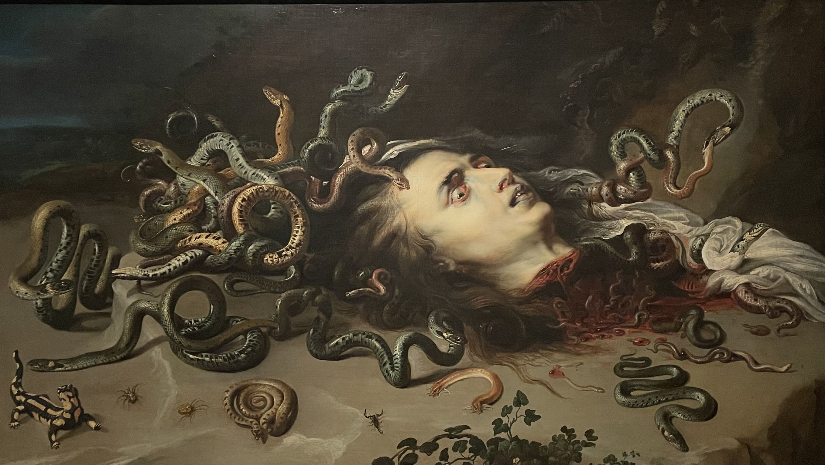 Rubens, Head of Medusa, oil on canvas