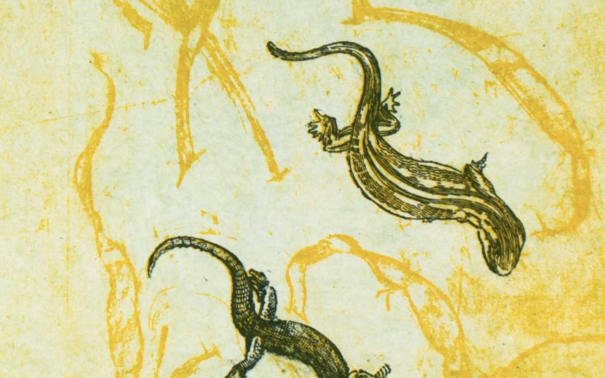 Estimate Georges Ribemont Dessaignes 2