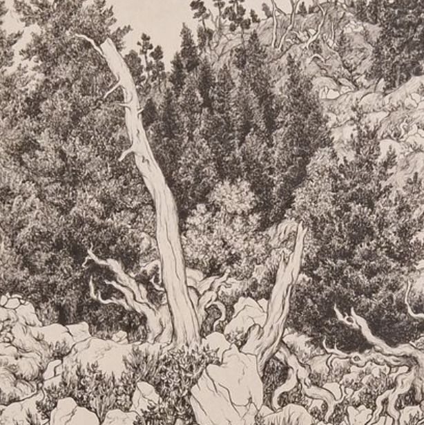 Georges Ribemont Dessaignes, lithographie