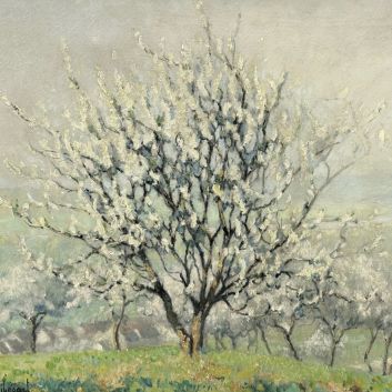 Raymond THIBÉSART (1874-1968) Apple trees in blossom