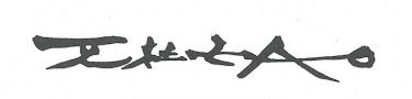 Zao Wu Ki's signature