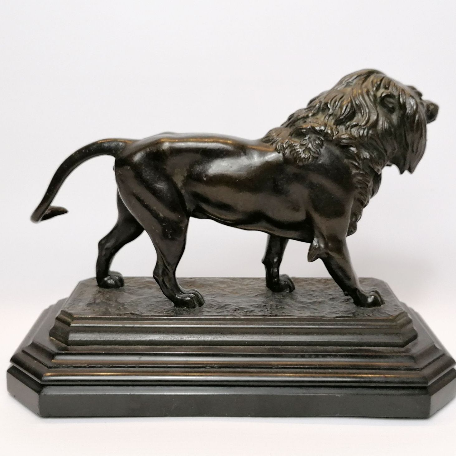 Barye, bronze print with brown patina representing a lion, other profile