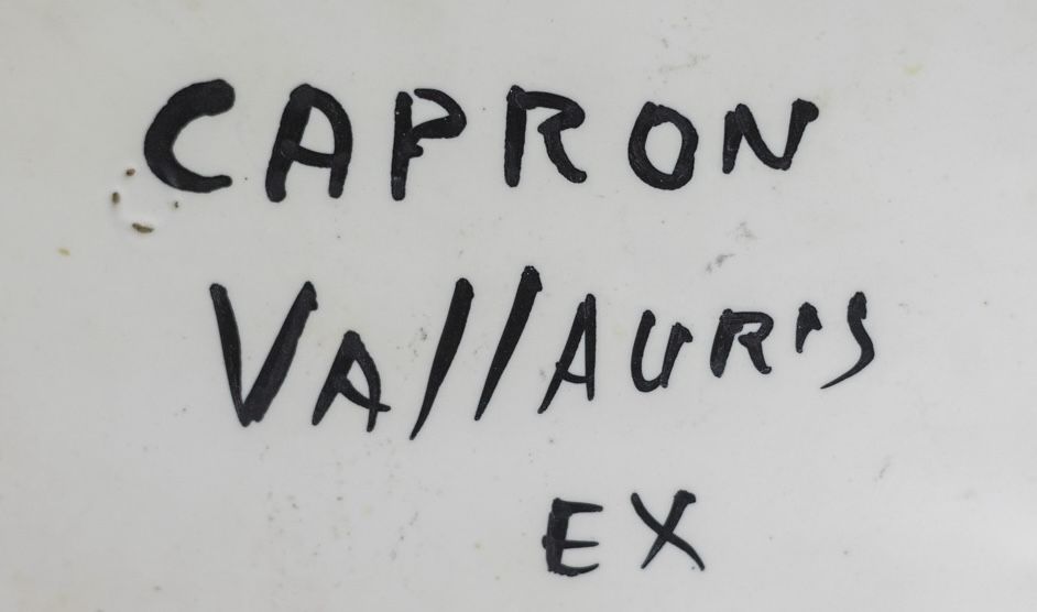 Roger Capron's signature