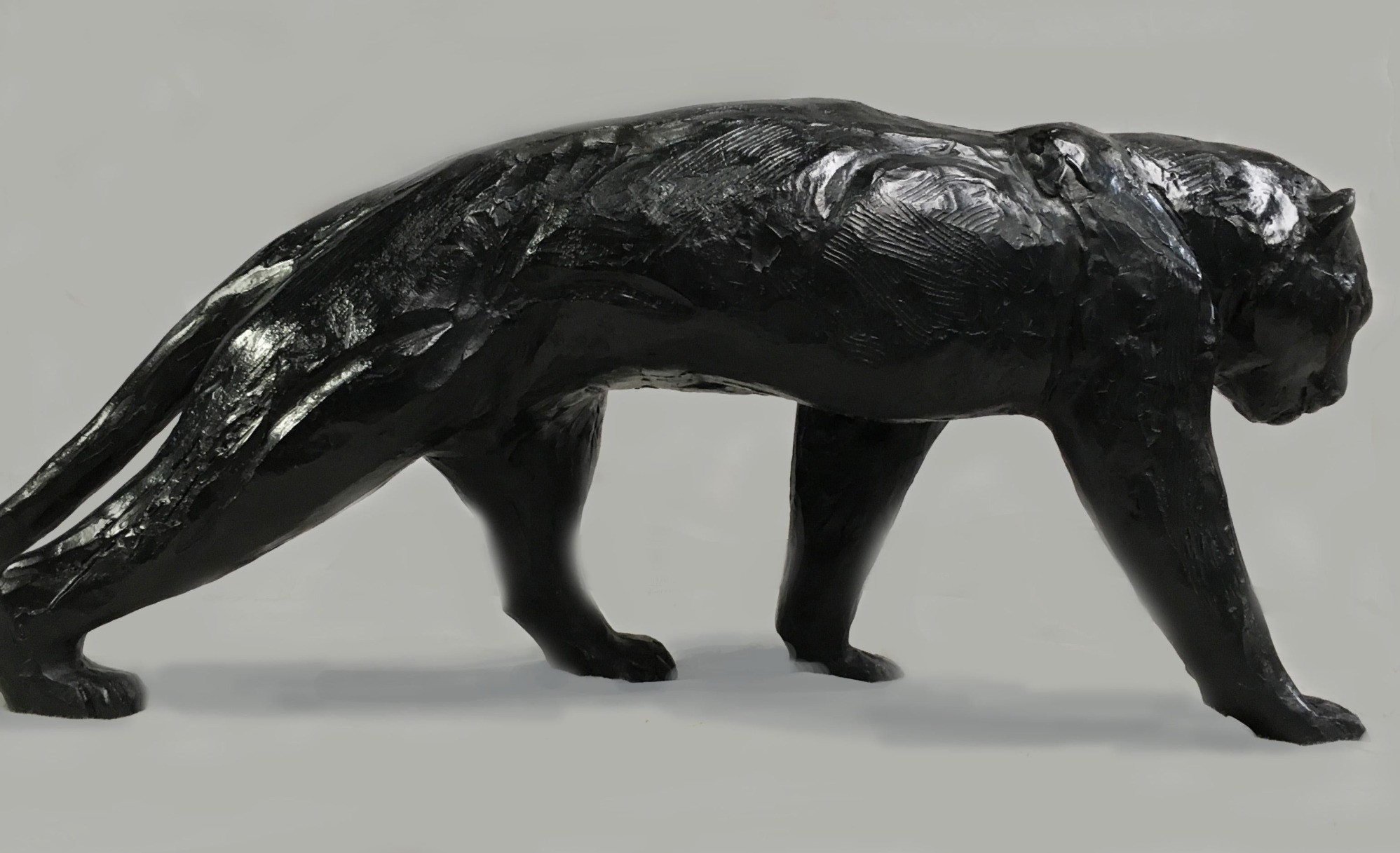 Jorge Borras, bronze