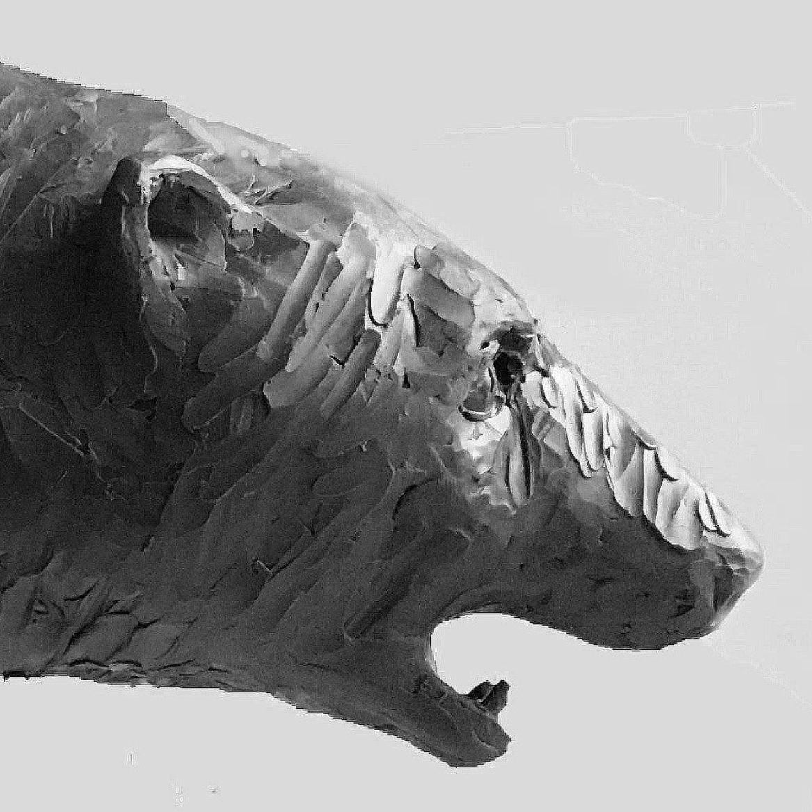 Jorge Borras, bronze